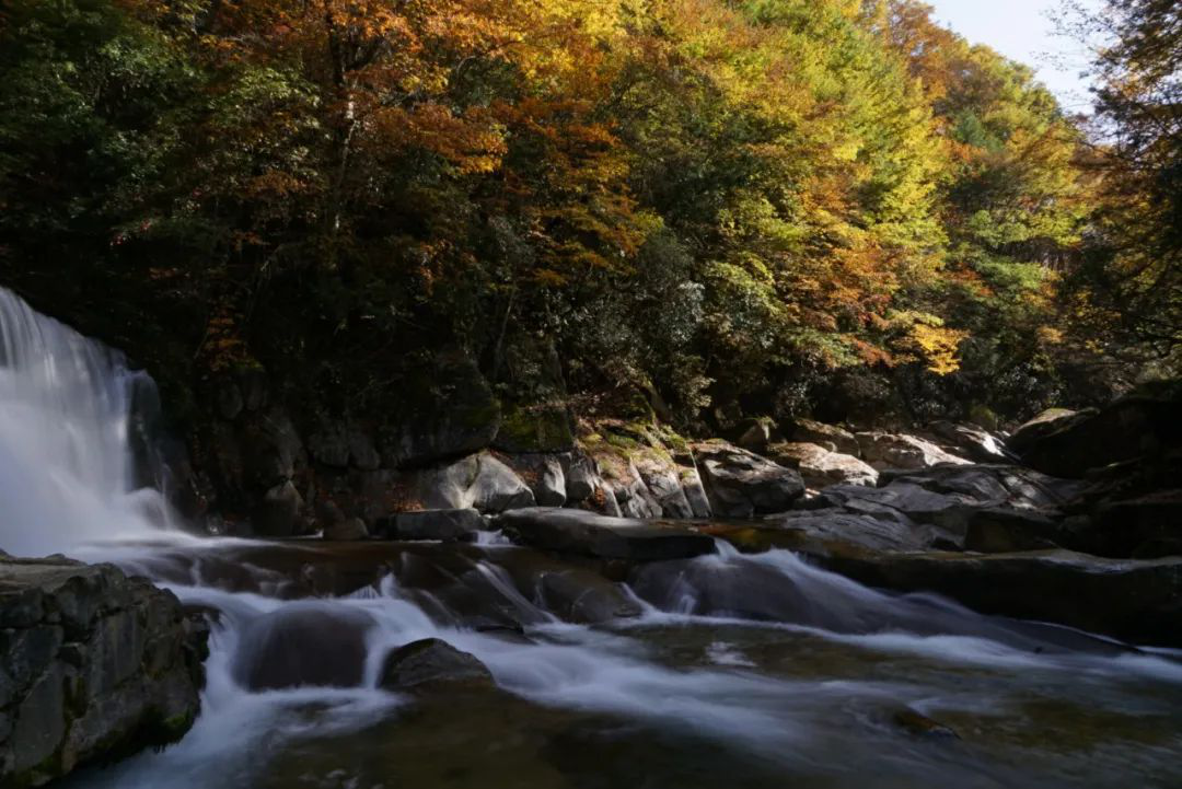 光雾山项目1.png 光雾山项目1.png